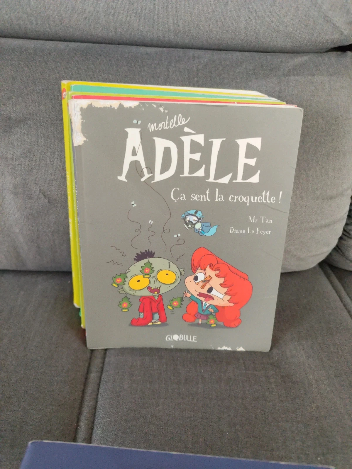 Lot van 11 Bd Adèle – photo 4